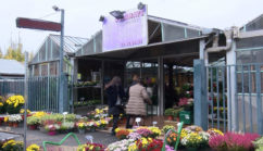 Une devanture de magasin de fleurs à Pontoise dans le Val-d'Oise