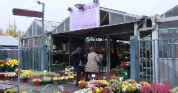 Une devanture de magasin de fleurs à Pontoise dans le Val-d'Oise